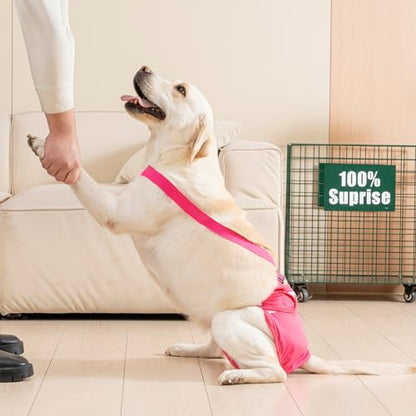 3 Pack Avont Washable Female Dog Diaper with Suspender, Reusable Girl Doggie Diapers for Small Medium Large Doggy in Heat Cycle Period Incontinence -M - color: Black/Pink/Purple, size: M