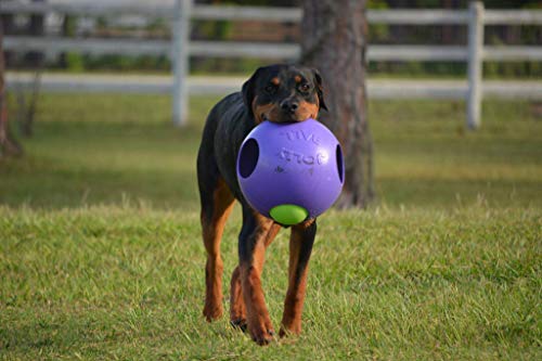 Jolly Pets Teaser Ball Dog Toy, Extra Large/10 Inches, Purple, X - Large/10 Inches (1510 PR) - color: Purple, size: XL (10 in)
