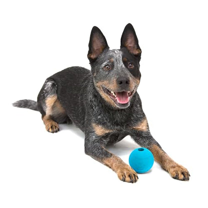 Chew King by Mammoth Glowing Fetch Ball, Dog Ball Toys, 3" Combo - color: G) 3-Pack (3" Balls)