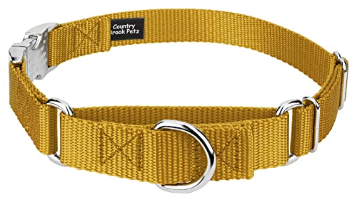 Country Brook Petz - Martingale Dog Collar - Heavy Duty Nylon Adjustable Martingale Dog Collar with Premium Buckle for Small Medium Large Breeds (5/8 Inch, Extra Small, Gold) - color: Gold, size: Extra Small (Pack of 1)