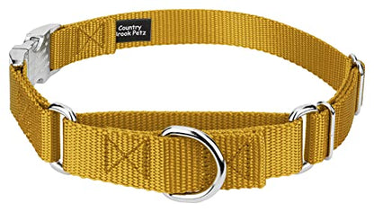 Country Brook Petz - Martingale Dog Collar - Heavy Duty Nylon Adjustable Martingale Dog Collar with Premium Buckle for Small Medium Large Breeds (5/8 Inch, Extra Small, Gold) - color: Gold, size: Extra Small (Pack of 1)