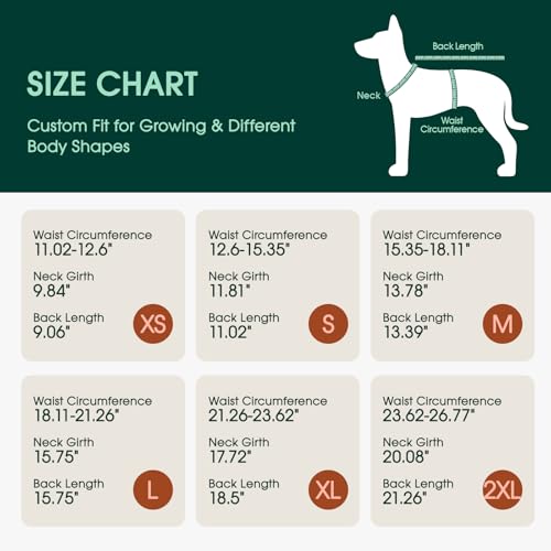 Kuoser Dog Diapers Female with Suspenders, Escape-Proof Doggie Diaper That Stay On, Washable Dog Diapers for Heat, Incontinence & Puppy Training,Reusable Puppy Diaper Female Small Medium Large Dogs, S - color: Blush Pink, size: S