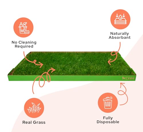DoggieLawn XL - Real Grass Dog Pee Pad with Built-in Disposable Tray | No Cleaning, Odor-Free | Indoor Outdoor Potty Training for Puppies & Large Dogs | 48" x 24" - size: X-Large 24x48 inches