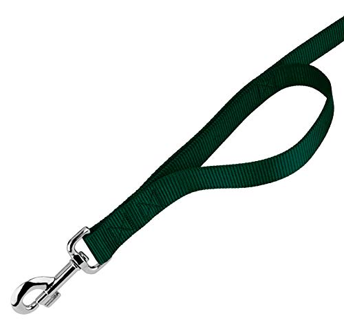 Country Brook Petz - Green Martingale Heavyduty Nylon Dog Collar and Double Handle Leash (1 Inch, Extra Large) - color: Green, size: Extra Large (Pack of 1)