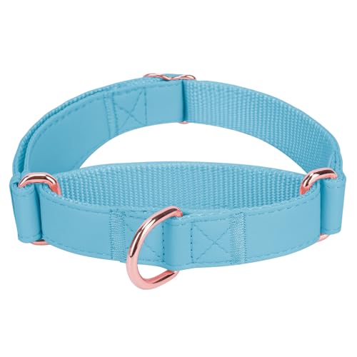 Soft Leather Martingale Dog Collar - Adjustable Rose Gold Limited Slip Collars [Easy to Clean], Stylish Durable Heavy Duty Nylon No Pull Training Collar for Small Medium Large Dogs XS Light Blue - color: Light Blue, size: XS (Neck 8"-11", Width 3/5")