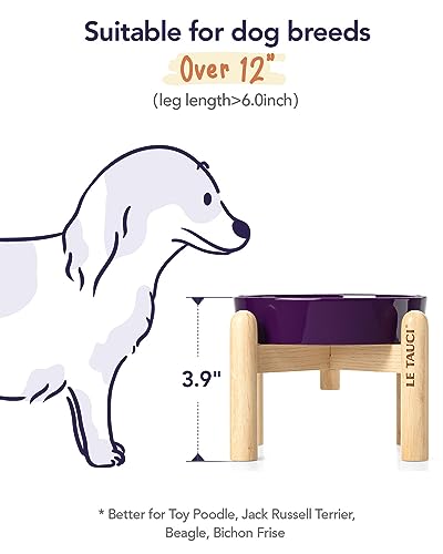 LE TAUCI Ceramic Slow Feed Dog Bowls, Elevated for Small Breeds, Anti-Gulping, Non-Slip, 6 inch, Purple - color: Maze Purple+Stand, size: S-0.6 Cups