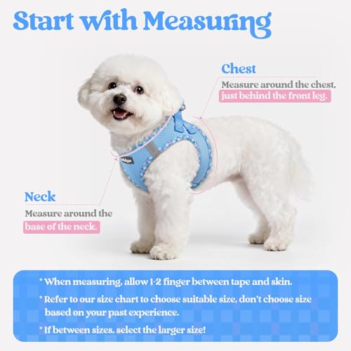 rabbitgoo Dog Harness Small Sized and Leash Set, Step in Soft Light Puppy Vest, Breathable Mesh Pet Harness, Reflective for Safe Easy Walking, Blue & Plaid Trim XXS - color: Blue & Plaid Trim, size: Xxs (chest: 12.4 - 14.2")