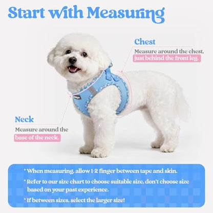 rabbitgoo Dog Harness Small Sized and Leash Set, Step in Soft Light Puppy Vest, Breathable Mesh Pet Harness, Reflective for Safe Easy Walking, Blue & Plaid Trim XXS - color: Blue & Plaid Trim, size: Xxs (chest: 12.4 - 14.2")
