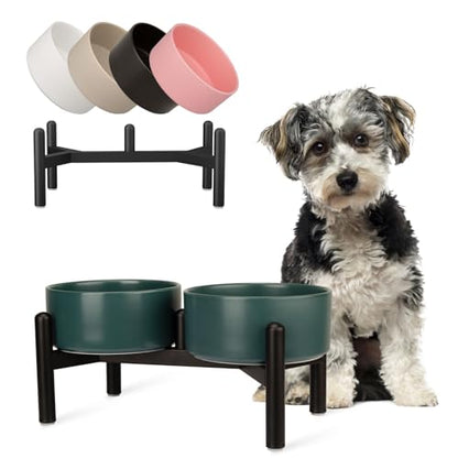 Raised Ceramic Dog Bowl Set - Elevated Double Dishes with Stainless Steel Stand - Food and Water Bowls for Small to Medium Dogs - Each Holds 3.5 Cups (29.57 fl oz) - Green - color: Green, size: 2 Bowls - 3.5 Cups Each