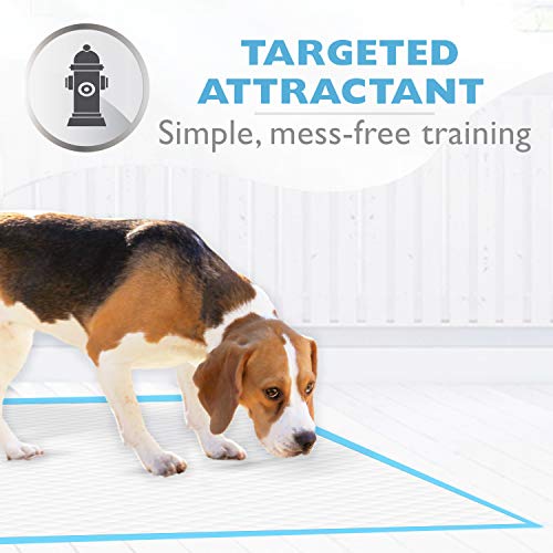 Four Paws Wee-Wee Superior Performance Unscented Pee Pads for Dogs & Puppies, Quilted Leak-Proof Dog Housebreaking Potty Training Floor Protection, 22" x 23", 14 Count - size: 14 Count