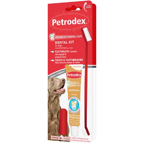 Petrodex Dental Care Kit for Dogs and Puppies, Cleans Teeth and Fights Bad Breath, Reduces Plaque and Tartar Formation, Enzymatic Tooth Brushing Kit, Peanut Flavor, 2.5oz Toothpaste + Toothbrush - size: 1 Count (Pack of 1)