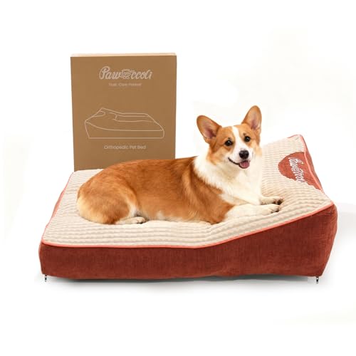 Orthopedic Dog Bed,Cat Beds for Indoor Cats - Comfy Flat Puppy Beds with Removable Washable Cover, Small Dog Bed, Pet Mat Suitable for Pet Up to 30 lbs(30''×20''×5'') - size: 30''×20''×5''