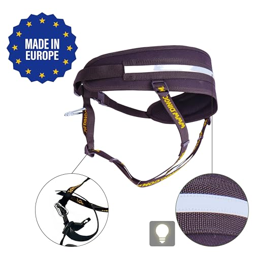 Dingo Hands Free Leash and Belt for Walking and Running with Dog, Bungee Training Leash, o-Ring Z30004