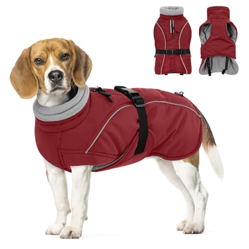 Queenmore Medium Dog Coat, Winter Dog Jacket, Waterproof Puffy Dog Snowsuit, Adjustable Reflective Fleece Lining Warm Padding Parka for Cold Weather, Red M - color: Red, size: Medium
