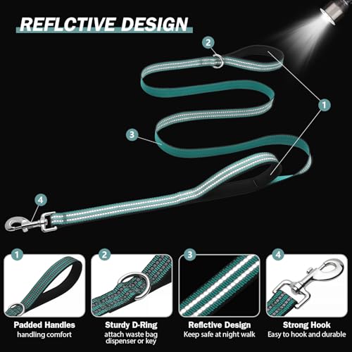 Hikiko 5 FT Heavy Duty Dog Leash with 2 Padded Handles Reflective Nylon Double Handle Dog Leash, Dark Green - color: Dark Green, size: 1 in x 5 ft