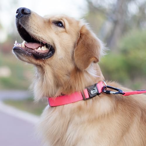 Hyhug Small Dog Collar Quick-Release Pink| Heavy-Duty Nylon Puppy Collar, Adjustable & Durable Pet Supplies for Boy & Girl Dogs (Small, Candy Pink) - color: Candy Pink, size: Small