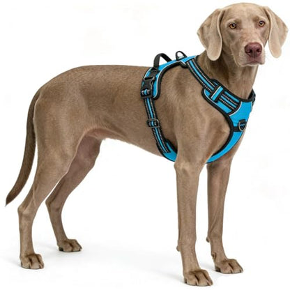 Blue No-Pull Dog Harness with 2 Leash Clips，Soft Padded Vest for Medium Dog, Adjustable Reflective Dog Vest Easy to Put on and Take Off, (Neck: 14"~20", Chest: 21"~27", Blue M) - color: Blue, size: Medium