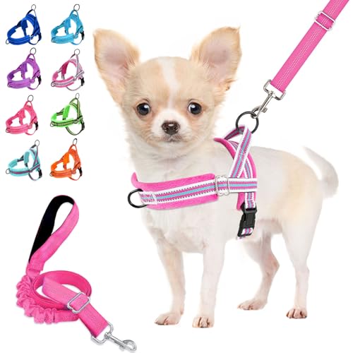 Lukovee No Pull Dog Harness and Leash Set, Soft Padded Small Dog Harness, Neck & Chest Adjustable Reflective Vest Puppy Harness with 4ft Lightweight Anti-Twist Dog Leash for Small Dogs (S, Fuschia) - color: Fuchsia - with Stripe, size: S ( Chest 17.5'' ~