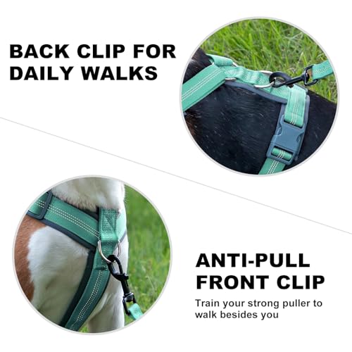 Plutus Pet No Pull Dog Harness, Adjustable Nylon Harness with Soft Padding, Reflective and Heavy Duty Dog Harness for Small, Medium, Large Dogs(Teal, S) - color: Teal, size: S