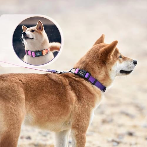 Roses&Poetry Reflective Small Dog Collar and Leash Set, Puppy Personalized Boy and Girl Collar with Leash, Adjustable Nylon Durable Pet Matching Collars Leashes for Small Puppies（Mistyrose-S - color: Mistyrose, size: S