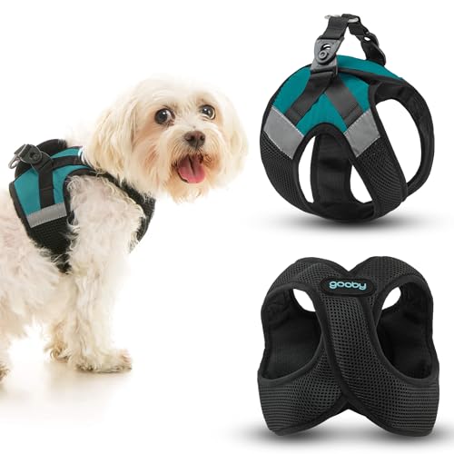 Gooby Soft Mesh X Step in Dog Harness - Turquoise, Medium - color: Turquoise, size: Medium