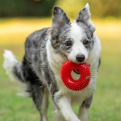 Dog Toys Squeaky - Spiky Ring for Chewers Dog Teething Toy with Rope, Squeaky Puppy Teething Spikey Glitter Ring Chew Toy, Aggressive Chew Indestructible for Puppy Teething Boredom Relief (Green) - color: Green