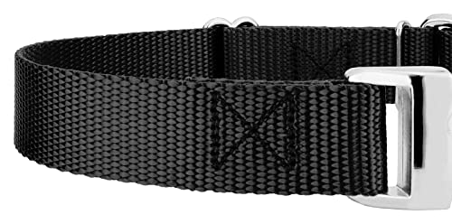 Country Brook Petz - Martingale Dog Collar - Heavy Duty Nylon Adjustable Martingale Dog Collar with Premium Buckle for Small Medium Large Breeds (1 Inch, Medium, Black) - color: Black, size: Medium (Pack of 1)