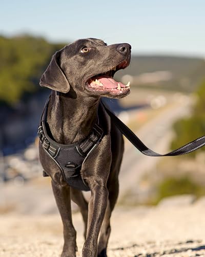 Joytale No Pull Dog Harness Medium Sized Dog, Reflective Pet Vest with Front Clip, Adjustable Soft Padded Harnesses with Easy Control Handle for Training and Walking, Black, M - color: Black, size: Medium