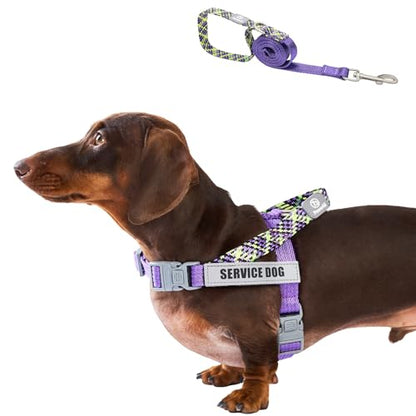 Service Dog Harness and Leash Set, No-Pull Service Dog Vest with 4 PCS Reflective Patches, Dog Vest Harness with Handle, Pet Harness for Small Medium Large Dogs in Training (Purple, S) - color: Purple (Leash + Harness + 4 Patches), size: Small (Chest: 19-