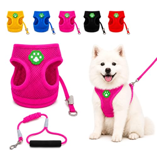 Dog Harness Small Sized and Leash Set, Step in Soft Light Puppy Vest, Breathable Mesh Pet Harness, Adjustable Pet Puppy Harness, Easy Walk Dog Harness, M: Chest 11.8-17.7" - color: Pink, size: M: Chest 11.8-17.7" Leash 3.8 FT