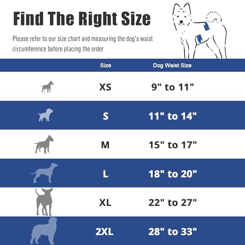 Male Belly Bands Dogs Diapers(4 Pack), Washable Reusable High Absorbing Boy Doggy Wraps Panties Doggie Puppy Pooping Potty Training Incontinence Marking Pañal para Perro Black Blue Gray Grey Small - color: Black Blue Gray Grey, size: Small (11"-14")
