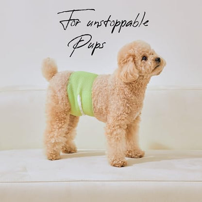 WICKEDPUP Male Dog Belly Band Kit, 50 Diaper Pads & 1 Reusable Male Wrap (Size 1 (14"-17.5" Waist)) - size: Size 1 (14"-17.5" Waist)