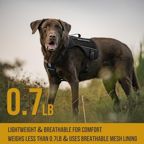 OneTigris Sentinel Pink Service Dog Vest with Patches, Reflective Lightweight Service Dog Harness with Pockets for Medium Large Dogs (Black, M: Neck 16-23", Chest 24-32") - color: Black, size: M: Neck 16-23", Chest 24-32"