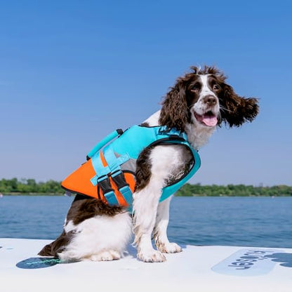 Kuoser Dog Life Jacket with Reflective Strips, High Visibility Dogs Swim Vest with Rescue Handle, Adjustable Dog Life Vest for Swimming, Boating, Pool & Beach, Doggy Lifejacket Small Medium Large Dogs - color: Blue, size: Small (Chest Girth:16.9-21.3'')