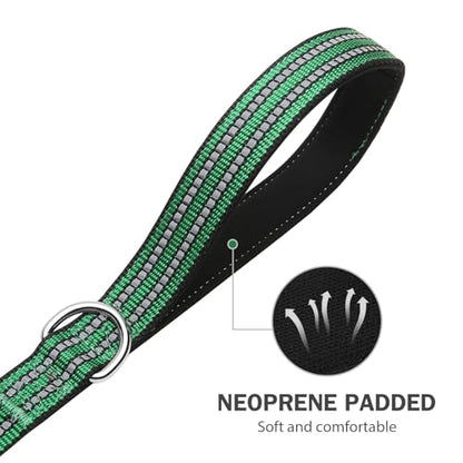 Hikiko 6 FT Heavy Duty Dog Leash with 2 Padded Handles Reflective Nylon Double Handle Dog Leash, Green - color: Green, size: 1 in x 6 ft