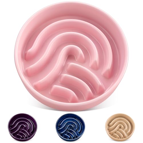 vancasso Slow Feeder Dog Bowl, 3 Cup Ceramic Slow Feeding Food Dish for Large Breed, Puzzle Dog Food Bowl for Fast Eater, Pink - color: Pink, size: L - 3 Cups