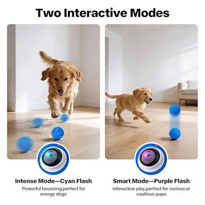 Pet Prime Interactive Dog Ball Toy,Automatic Bouncing Ball with Motion Activated,Moving Dog Toy for Medium and Large Dogs,2 Play Modes for Mental Stimulation and Keep Them Busy