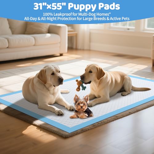 Gimars 31''x55'' Extra Large pet Disposable Pads, Dog Training Pads 40 Counts - size: 31"x55"- Blue 40 Counts