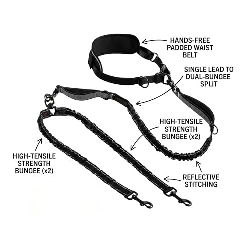 X11PAWS - Heavy Duty Dog Leash Hands Free Bungee | Two Large Dogs Up to 250 lbs | Comfortable Shock Absorbing Bungee | Reflective Dual Padded Handles | Lumbar Waist Belt 24-42" | 360° Swivel Clips