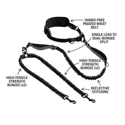 X11PAWS - Heavy Duty Dog Leash Hands Free Bungee | Two Large Dogs Up to 250 lbs | Comfortable Shock Absorbing Bungee | Reflective Dual Padded Handles | Lumbar Waist Belt 24-42" | 360° Swivel Clips