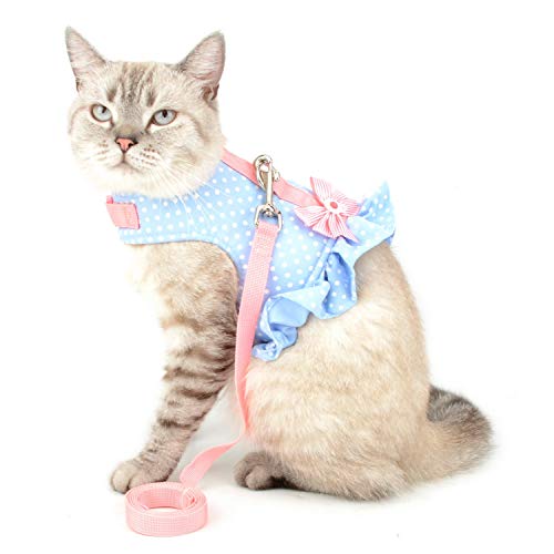 Zunea No Pull Small Dog Girl Harness Dress Escape Proof Cat Kitten Vest Harness Leash Set Step-in Soft Cotton Padded Polka Dot Jacket Chihuahua Puppy Clothes with Cute Bow for Walking Blue S - color: blue dots, size: S (Chest:14.5-15.7", Neck:9-9.8")
