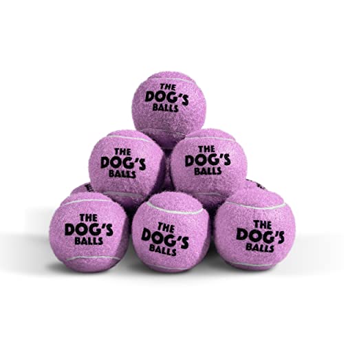 The Dog's Balls Dog Tennis Balls Tough 2.5" 12-Pack Purple Floats in Water | Our fetch balls combine non-abrasive felt exterior and a thicker rubber core Durable Dog Toy for Outdoor Play & Training - color: Purple, size: 12 Medium Tennis Balls