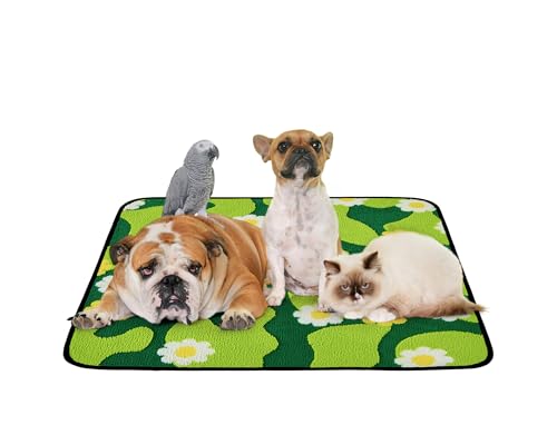 Qeils Reusable Puppy Pads for Small Dogs, Washable Pee Pads with Non-Slip , Absorbent Leakproof Mat for Crates, Playpens, Pet Beds & Whelping, Indoor Potty Training Grass Green, 36"x41", 2 Pack - size: 36"x41"(Pack of 2)