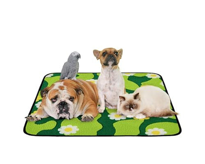 Qeils Reusable Puppy Pads for Small Dogs, Washable Pee Pads with Non-Slip , Absorbent Leakproof Mat for Crates, Playpens, Pet Beds & Whelping, Indoor Potty Training Grass Green, 36"x41", 2 Pack - size: 36"x41"(Pack of 2)