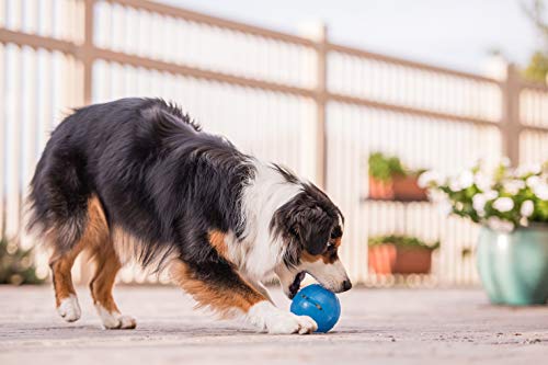 Outward Hound Guru Treat-Dispensing Puzzle Ball Dog Toy, Blue - color: Blue