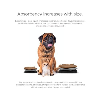 Pet Parents® Washable Belly Bands for Dogs (3pack) + Extendrs® Durable Dog Diapers - Premium Male Dog Diapers & Wraps (X-Small, Natural) - color: Natural, size: X-Small (11-13")