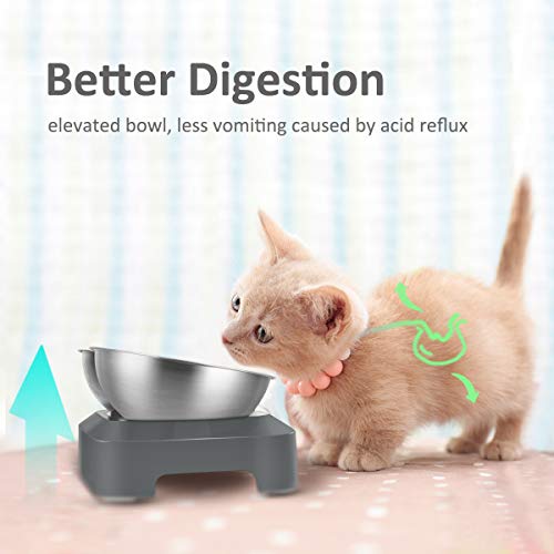 AYADA Raised Cat Food Bowl, Stainless Steel Cat Dish for Dry Wet Food Water, Anti Vomiting Elevated with Stand Ergonomic Lifted Slanted Tilted 15 Angle Metal Single Kitty Kitten Pet Bowl (Double) - color: Double