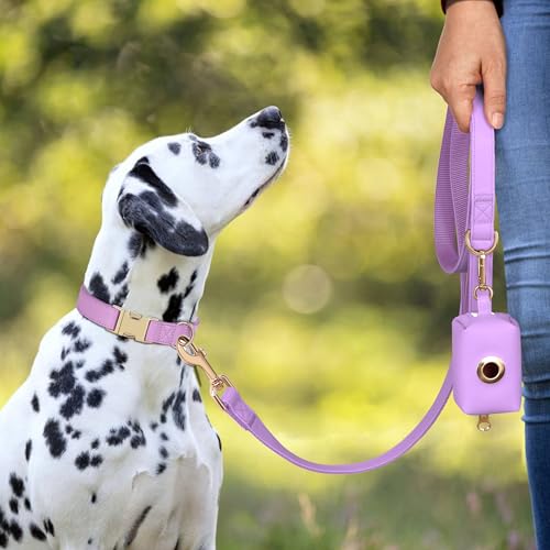 PET ARTIST PU Leather Dog Collar, Bright & Stylish Purple Dog Collar Girl with Quick Release Gold Metal Buckle, Soft Nylon Padded Durable Pet Collars Adjustable for Medium Dogs, Neck Fit 13-19" - color: Purple, size: M: Fit 13-19" Neck(20-55 lbs)
