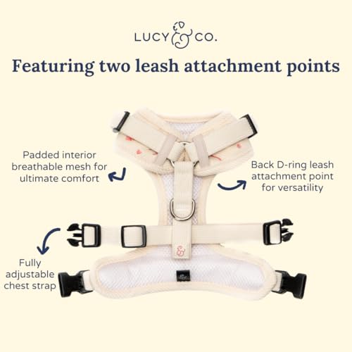Lucy & Co. Ever So Sweet No-Pull Dog Harness, Adjustable Front Clip Harness with Comfort Padding, X-Large - color: Ever So Sweet, size: X-Large