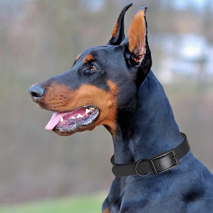 Dogline Biothane Waterproof Dog Collar Strong Coated Nylon Webbing with Black Hardware Odor- Proof for Easy Care Easy to Clean High Performance Fits Small Medium or Large Dogs, Black